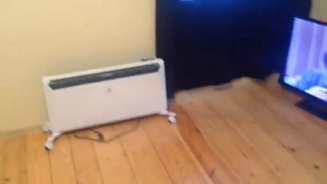 трейдерский котэ))) смотреть онлайн