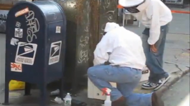 Пчёлы слетелись на почтовый ящик в Италии смотреть онлайн