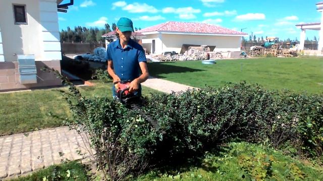 Стрижка боскета смотреть онлайн