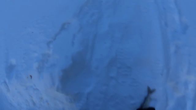 РЫБАЛКА НА ТАЕЖНОМ РУЧЬЕ.ТУТ РЫБЫ ОЧЕНЬ МНОГО смотреть онлайн