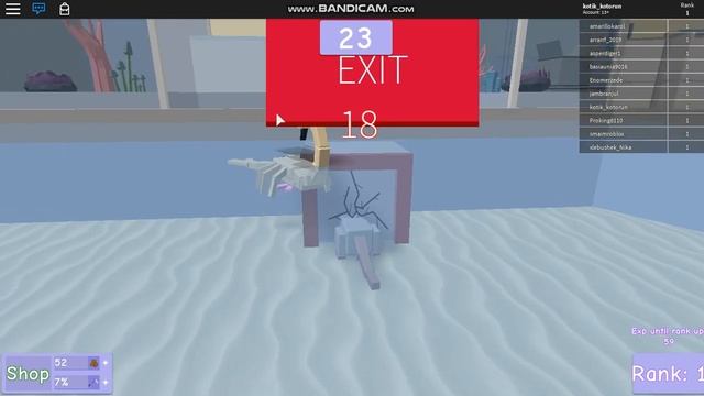 /Roblox/pet escape/ловлю питомцев чтоб не сбежали смотреть онлайн