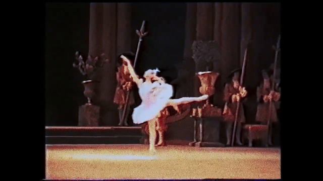 1992  Kirov Ballet (Mariinsky Theatre) Sleeping Beauty Blue Bird Pas-de-deux I.Zavialova ,M.Zavialo