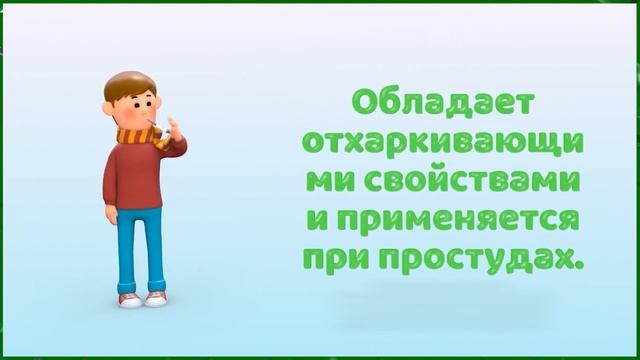 Лапчатка белая — помощь щитовидке смотреть онлайн