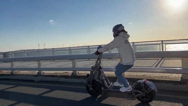 Electric Scooter WEPED Sonic Perfect Exciting Machine смотреть онлайн