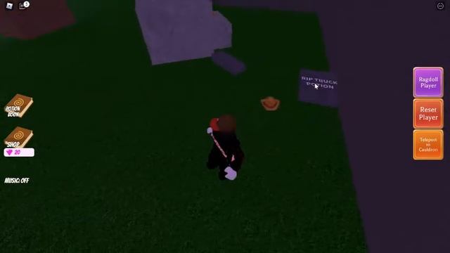 WITCHES VS WIZARDS UPDATE OVERVIEW Wacky Wizards