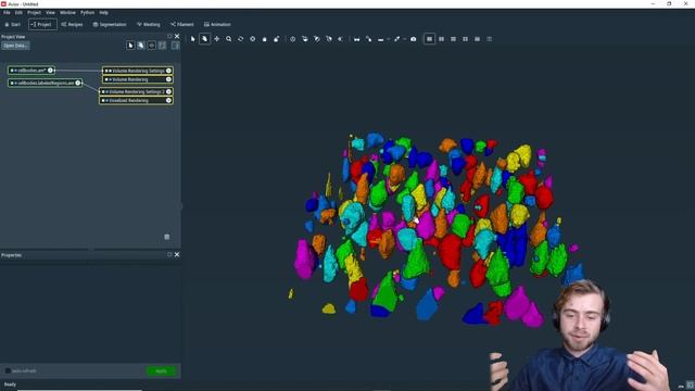 How to change the label colormap to display a label field in Amira or Avizo Software смотреть онлайн