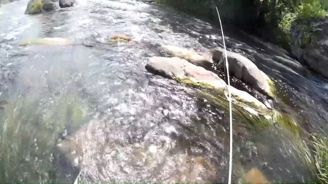 Два переката Отчет с рыбалки смотреть онлайн