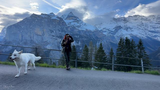 Gimmelwald Mürren Switzerland - Jungfrau area 4K смотреть онлайн