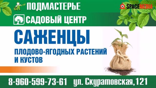 Подмастерье Тула смотреть онлайн