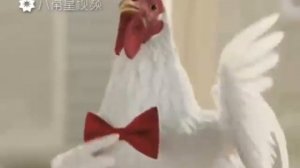 Танцующий петух