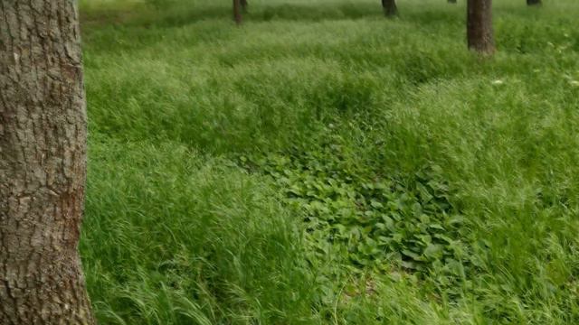 Ники's LIFE🐾№10. Николь преодолевает страх. смотреть онлайн