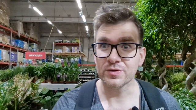Прогулка по оптовому центру экзотических растений в Москве. Июль 2023 г. смотреть онлайн