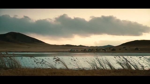 Звериный стиль (каз) смотреть онлайн