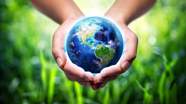 Our Beautiful Planet Discovery Зоопарк Discovery online