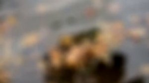 Некрасивая. Лучшая песня о любви...