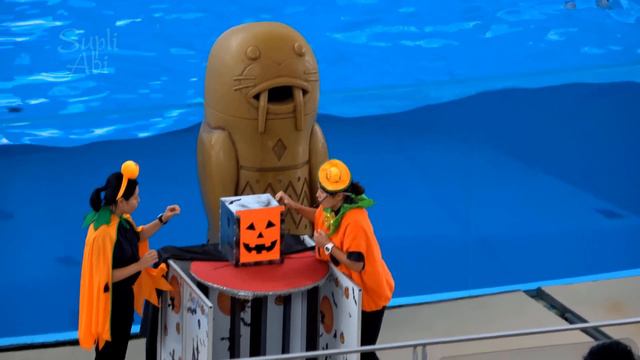 横浜 八景島シーパラダイス アトラクション 動物たちのショー ～ハロウィン ～ Yokohama Sea Paradise 2 【4K】 смотреть онлайн