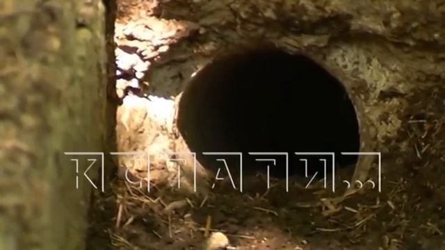 Унесенные потопом - кто и как будет устранять последствия оползней на городских склонах смотреть онлайн
