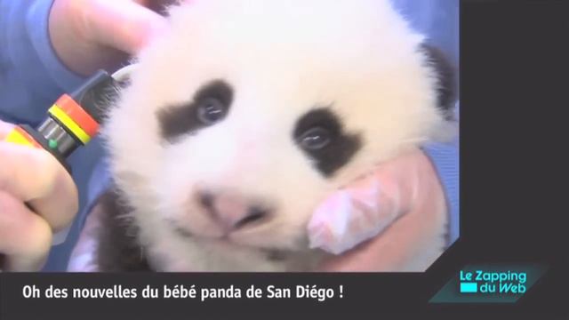 Il envoie la balle en plein dans le visage de son bébé ! смотреть онлайн
