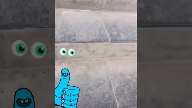 Папа ты селачь