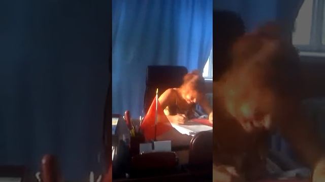 Вот так надо работать!!!=)) смотреть онлайн