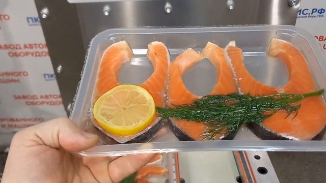 Универсальный запайщик, скин-режим, лоток 260-177 мм смотреть онлайн