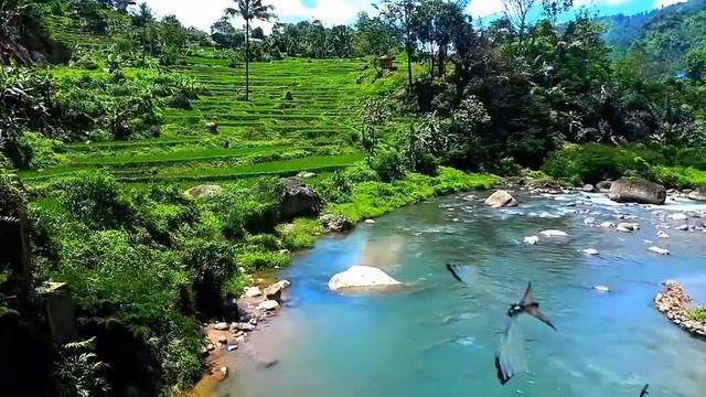 Beautiful Relaxing Music ( Suling Sunda ) Indonesian Origin Music West Java Flute sound смотреть онлайн