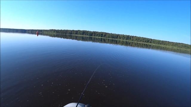 10 дней в рыболовном раю / ПЕРВЫЙ ТРОФЕЙ! Отличный клев! смотреть онлайн