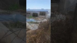 Так живут цыганские курды