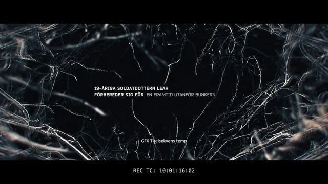 FUNGI TEASER 25 SEC MIX 1 TEST #sounddesign #composer #davinciresolve смотреть онлайн