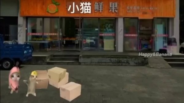 Happy Cat Series • Happy and Banana cat Videos #happycats #funny