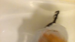 Я моюсь новой шампунью .🐾🐩🚿