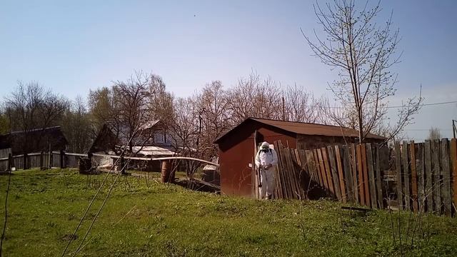 Пример обработки дачного участка от клещей Череповец смотреть онлайн