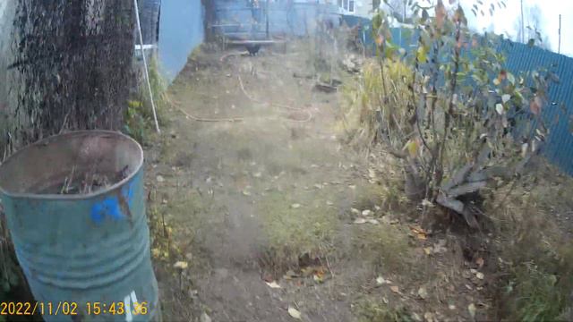 Пришёл на участок, а там такое... смотреть онлайн