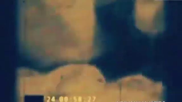 "Из рассекреченных архивов КГБ - "Низкие серые Инопланетяне" смотреть онлайн