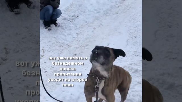 Второй шанс для Джокера смотреть онлайн