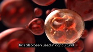 CRISPR CAS 9 - a new gene editing technology