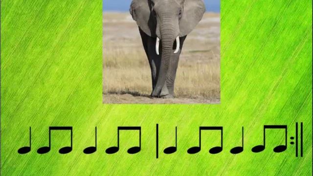 Ритмічна вправа на музику Ю Шинкаренка Слон, Сольфеджіо, Ritmograma, solfeggio смотреть онлайн
