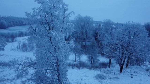 winter fly / -10°C смотреть онлайн
