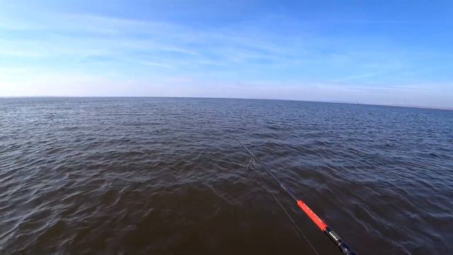 Ловля судака на джиг. Алмалы, начало октября. Где найти судака осенью? смотреть онлайн