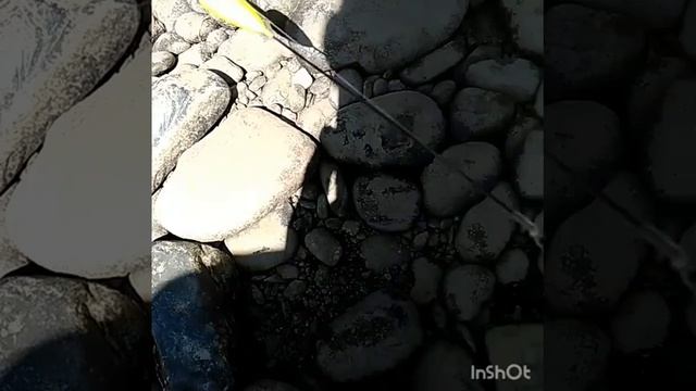 Отдыхаем на даче, рыбачим на реке мрассу. смотреть онлайн