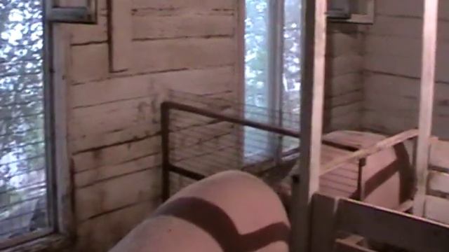 Хозяйство Елены Мороз г Уфа не сменяемая подстилка смотреть онлайн