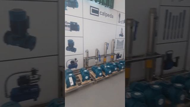 Calpeda смотреть онлайн