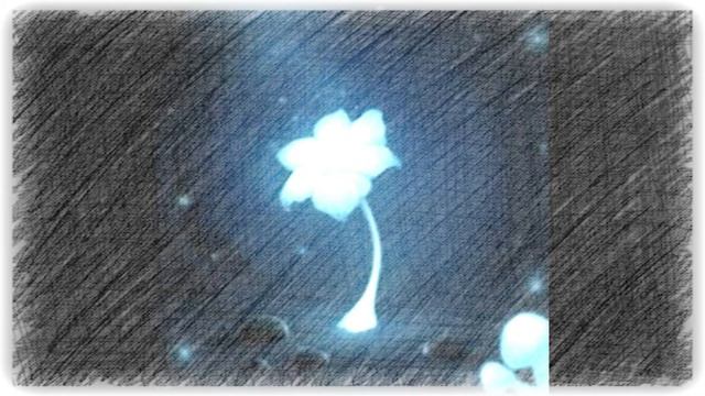 Undertale - Waterfall (Original lyrics/Vocal cover by Aria Rose) смотреть онлайн