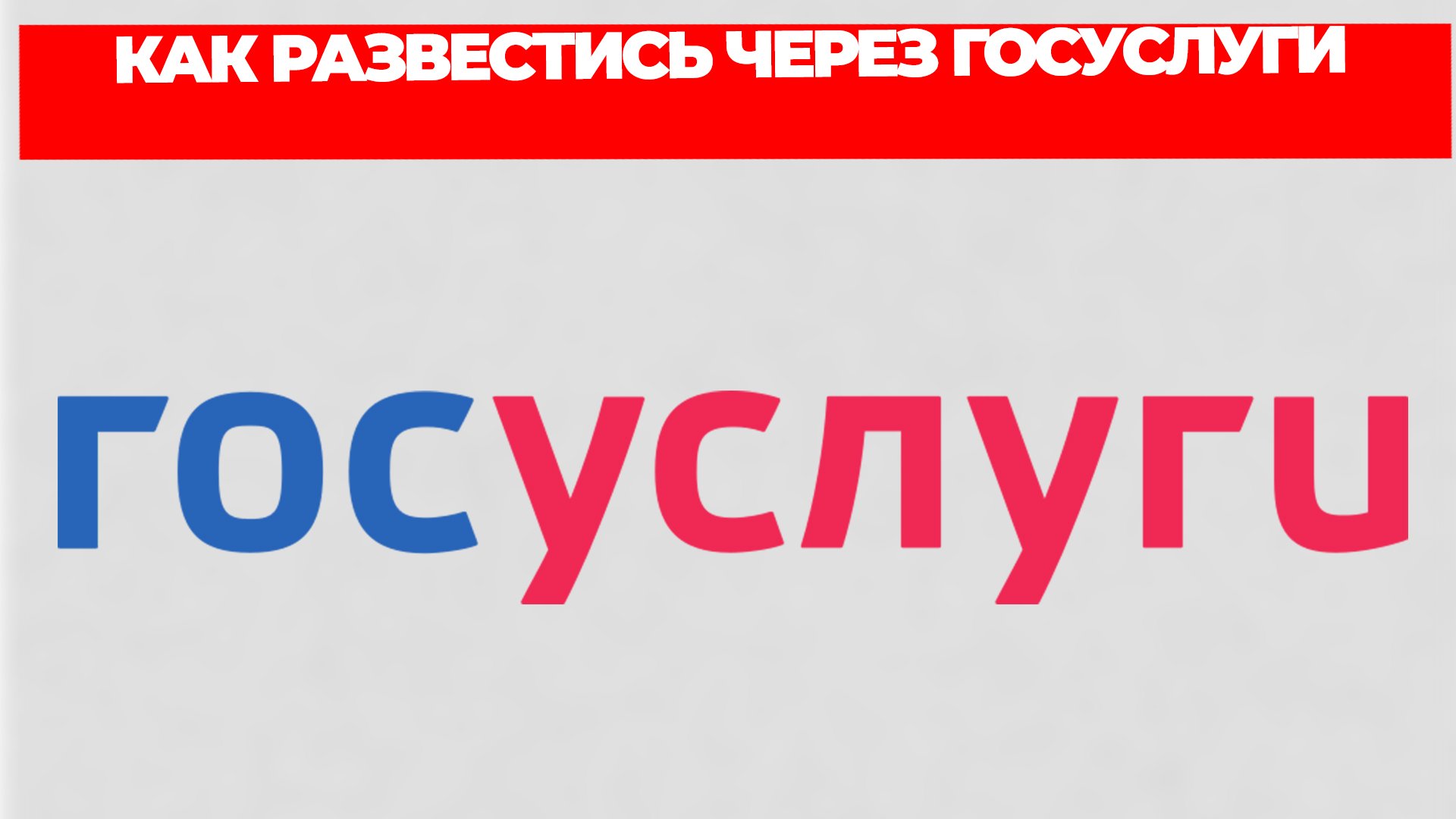 Всезнающий Енот