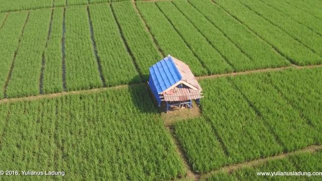 Aerial Subang (4K) - DJI Inspire 1 Pro (Black Edition) смотреть онлайн