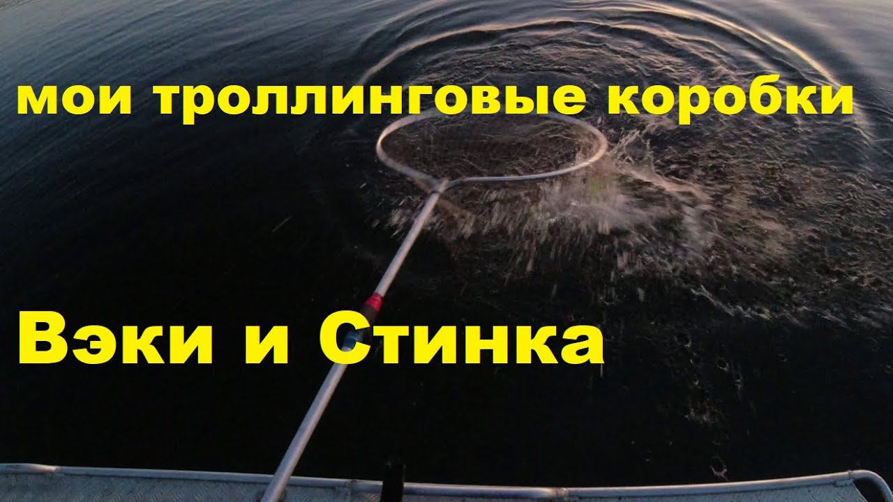 Мои троллинговые коробки Вэки и Стинка смотреть онлайн