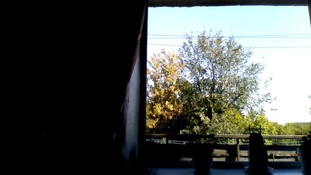 Польская песня 