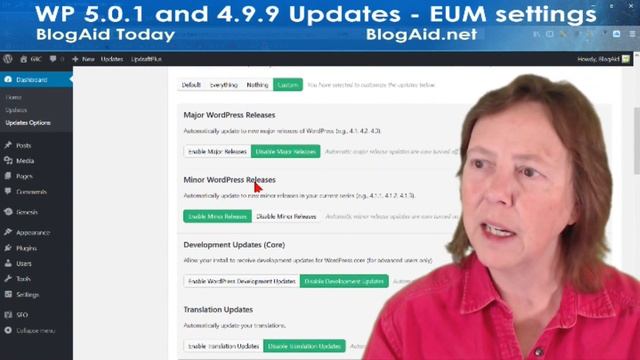 WP 5.0.1 & 4.9.9 Update - Easy Updates Manager Settings смотреть онлайн