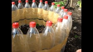 теплая грядка из пластиковых бутылок