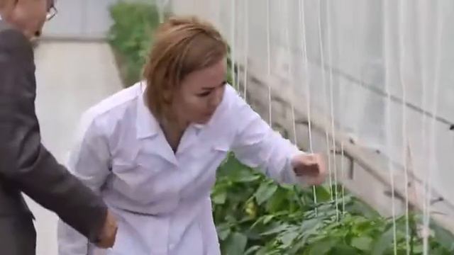 Жылыжай эксперименттік учаскесі смотреть онлайн